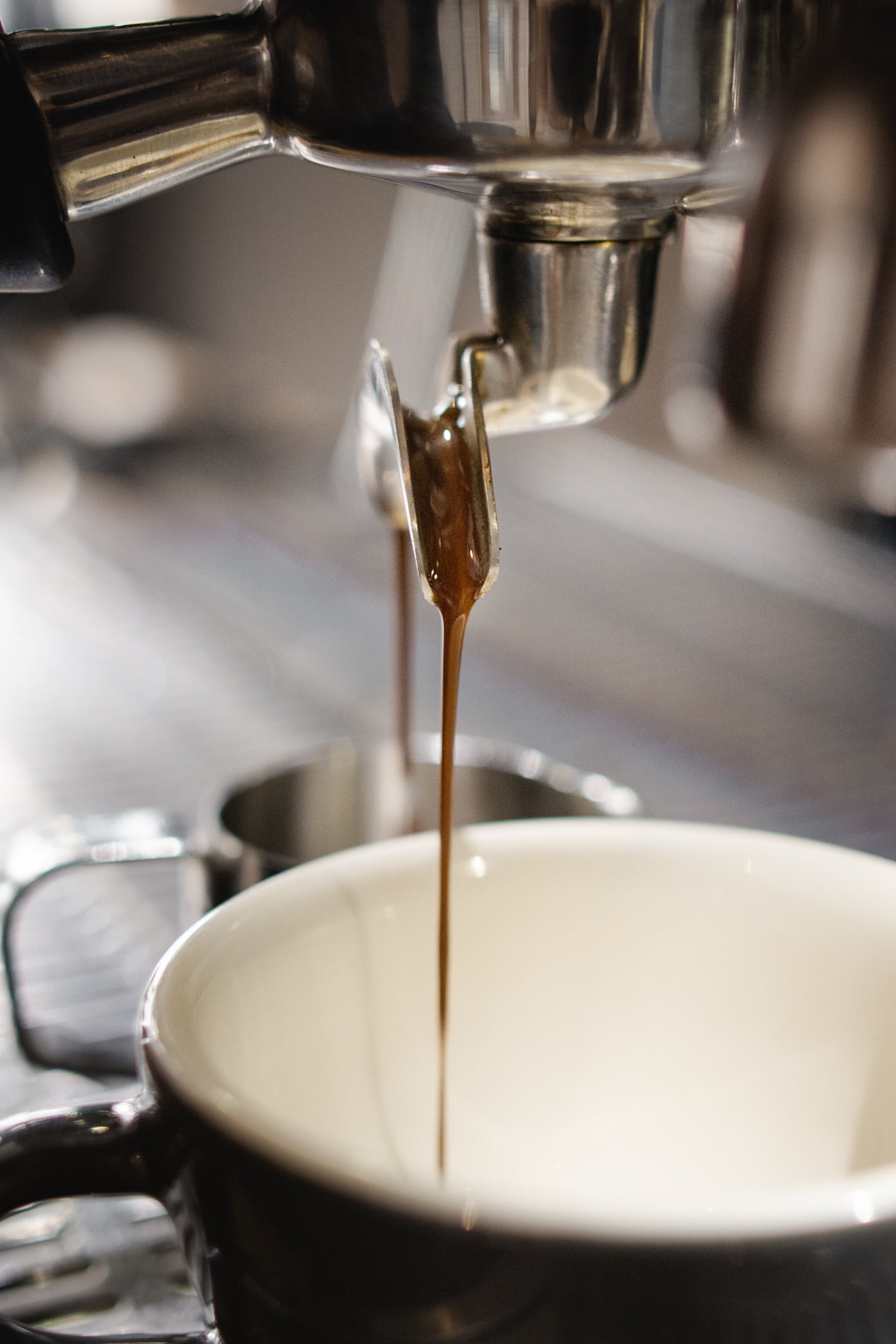 Kaffeebohnen hase espresso house blend